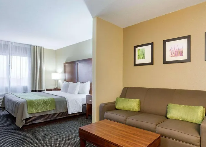 Comfort Inn Garden City