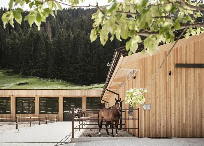 Feuerstein Nature Family Resort Colle Isarco