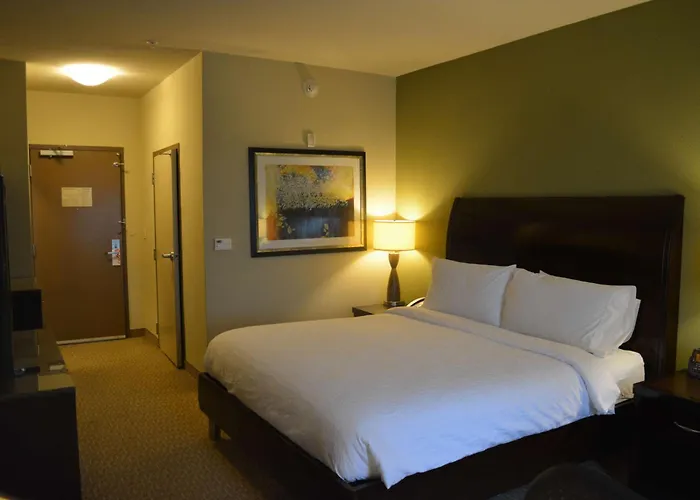 Hilton Garden Inn Houston-Pearland