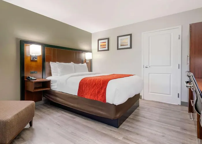 Comfort Inn Antioch - Century Plaza