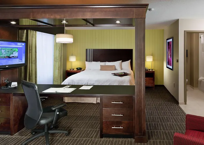 Hampton Inn & Suites Saginaw
