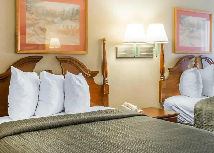 Quality Inn Reidsville Hwy 29