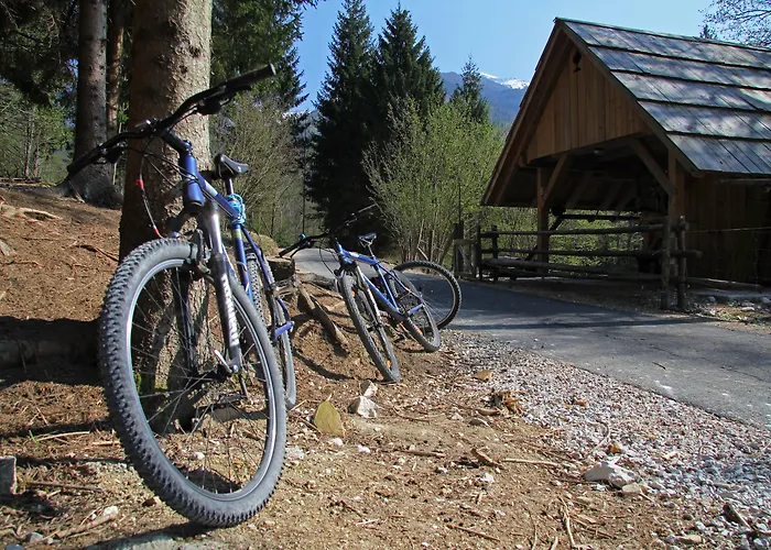 Bohinj Eco Hotel Bohinjska Bistrica