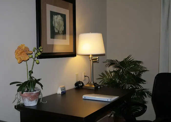 Hampton Inn & Suites Cedar Park-Lakeline