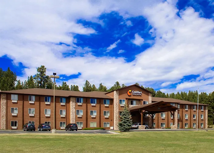 Comfort Inn & Suites Custer