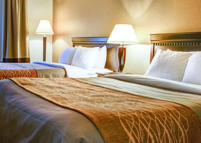 Quality Inn Florence