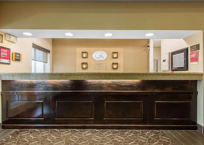 Comfort Suites Rochester Henrietta University Area