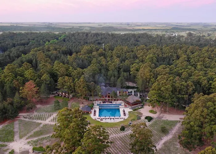 Carmelo Resort&Spa