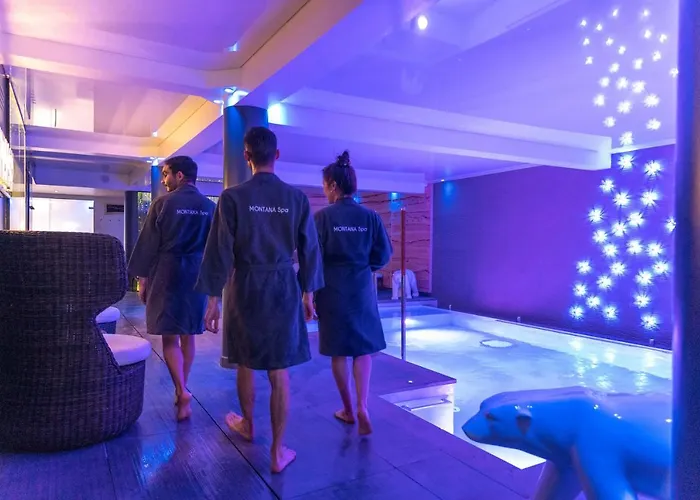 Montana Chalet Hôtel&Spa Le Sauze