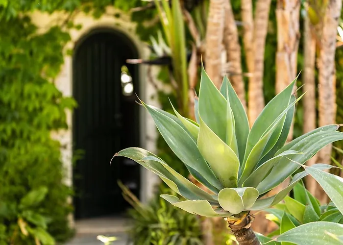 Botania Relais & Spa - The Leading Hotels Of The World Forio 