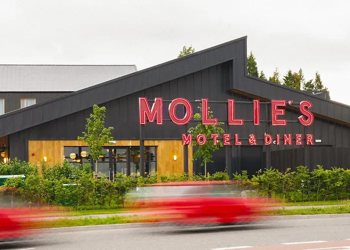 Mollie'S Bristol