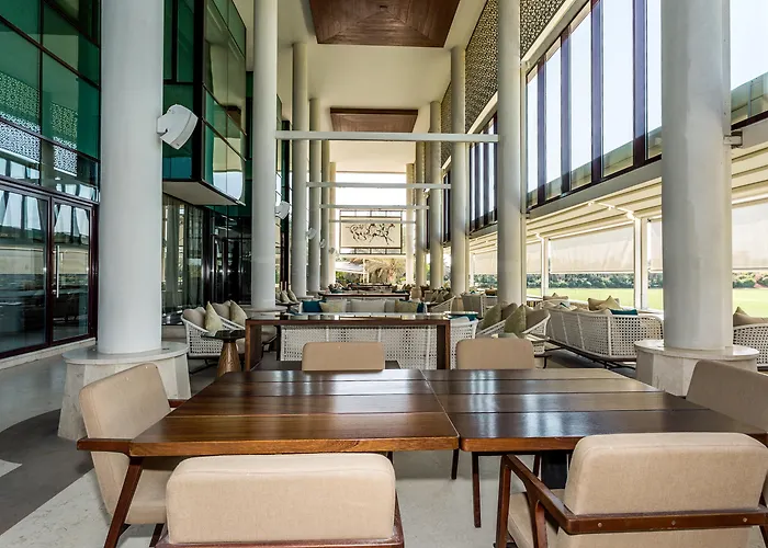 Melia Desert Palm Member Of Melia Collection
