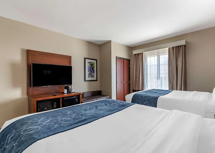 Comfort Suites Buda - Austin South