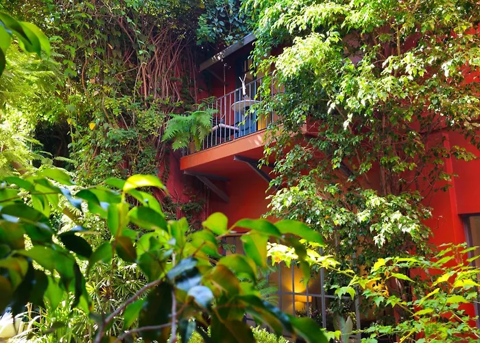 Be Jardin Escondido By Coppola
