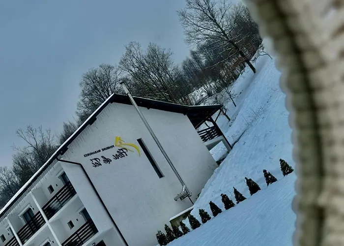 Flori De Tei Maramures Sacel 
