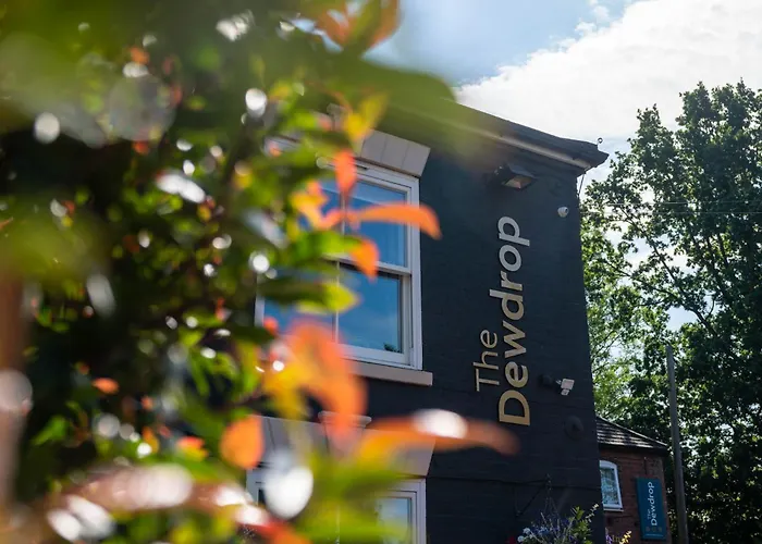 The Dewdrop Inn