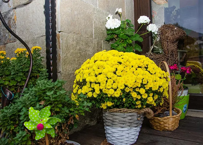 Sveti Nikola Family Hotel Sapareva Banya