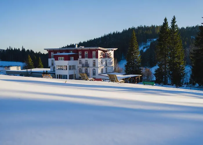 Das Waldhotel - Genuss&Wellness am Notschreipass Todtnau