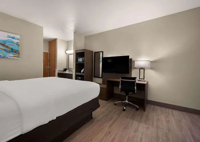 Comfort Inn & Suites Fenton