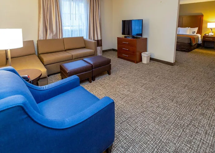 Comfort Inn Salt Lake City Downtown