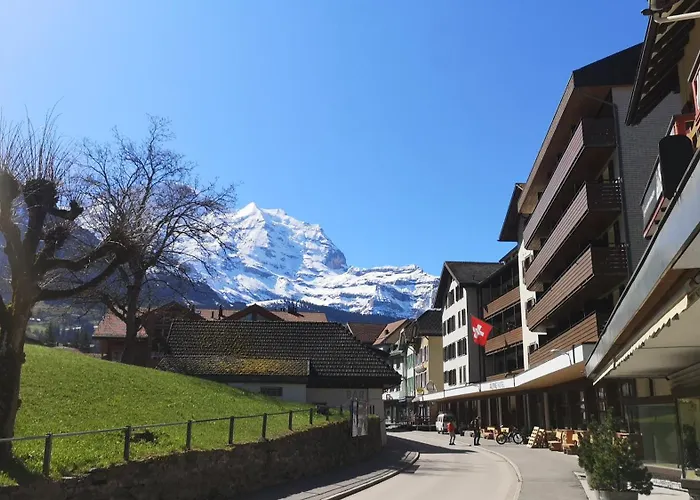 Swiss Lodge Hotel Bernerhof