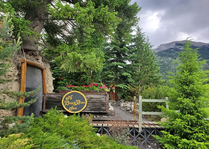 A Bear And Bison Country Inn