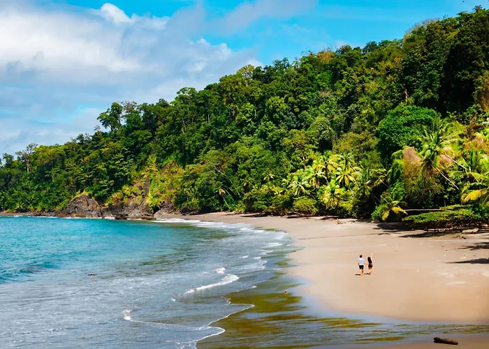 Corcovado Wilderness Lodge By Scp