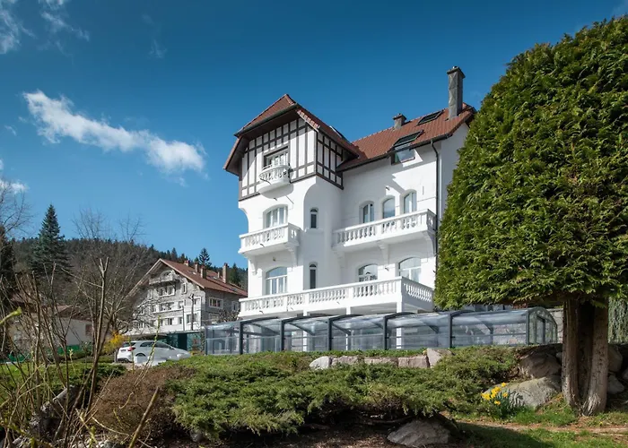 La Villa Concorde Gérardmer