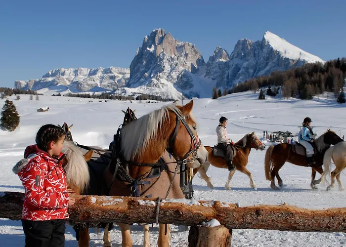 Dolomites Living Hotel Tirler Alpe Di Siusi