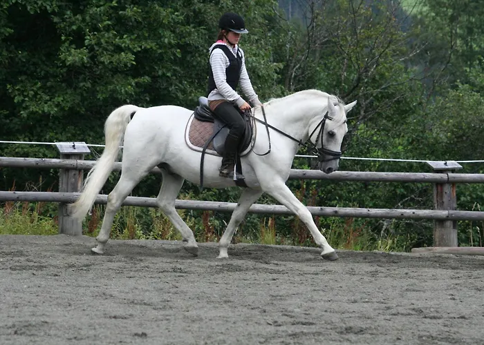 Ferienanlage Altachhof