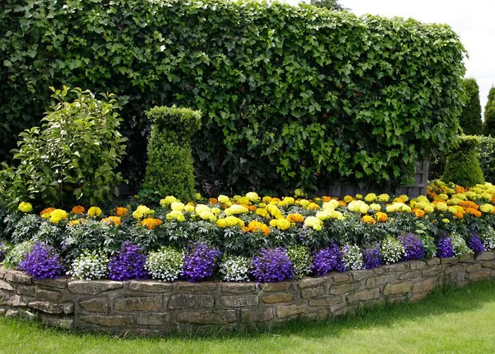Rosemount B&B