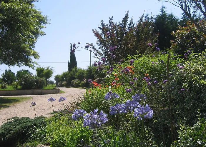 Domaine de Millox