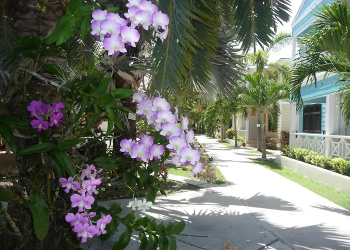Buccaneer Beach Club