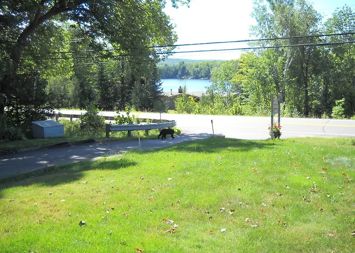 Lakeview Motel Haliburton
