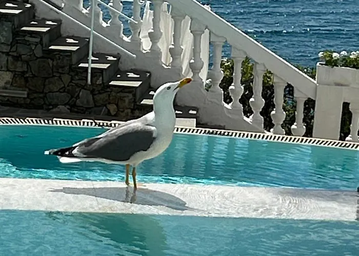 Hotel Helvetia Sestri Levante