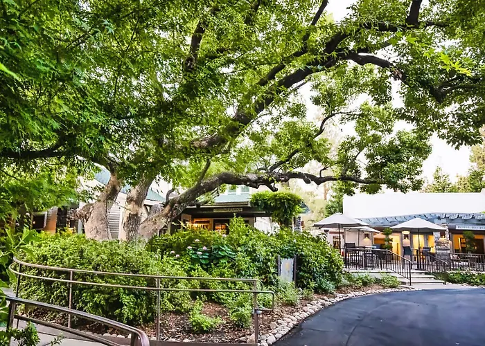Appellation Lodi - Wine & Roses Resort And Spa