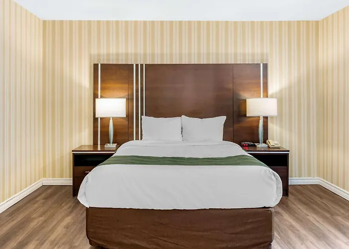 Quality Hotel & Suites