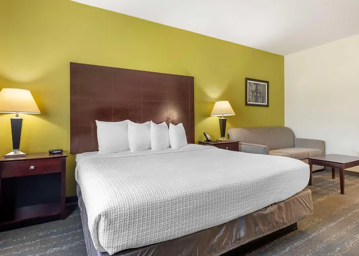 Best Western Plus Mansfield Inn & Suites