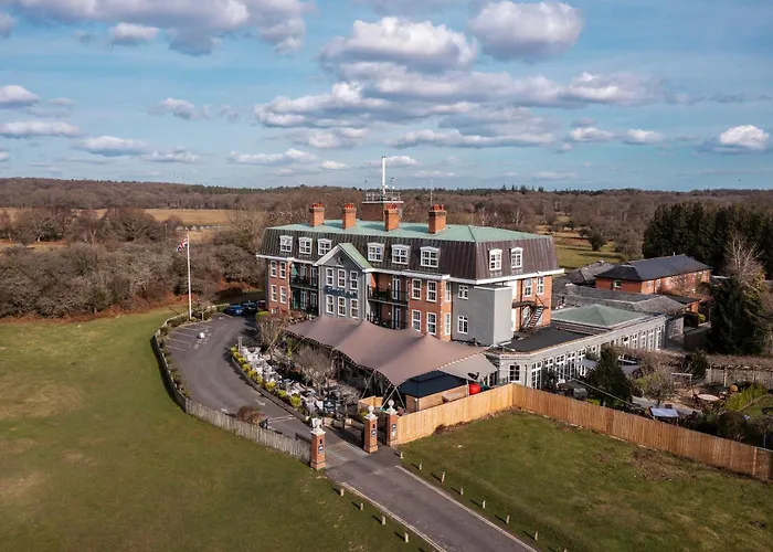 Balmer Lawn Brockenhurst