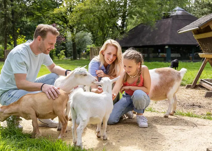 Hotel Het Heijderbos By Center Parcs