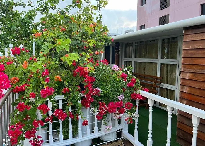 Rooftop Inn