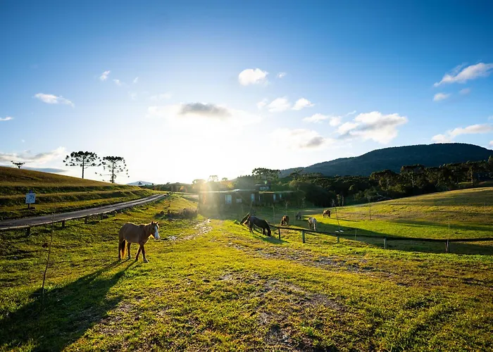 Pousada Fazenda Bom Retiro - Vinícola Thera