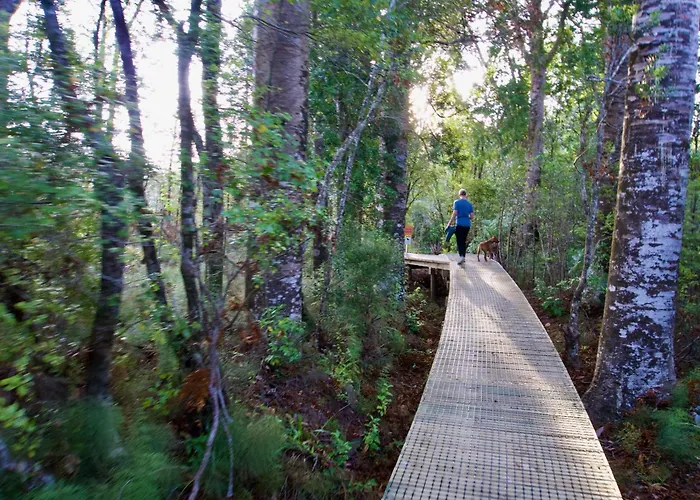 Sapphire Springs Holiday Park And Thermal Pools