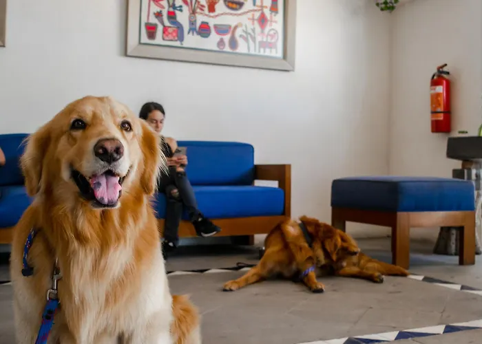 Puerto de Luna Pet Friendly&Family Suites