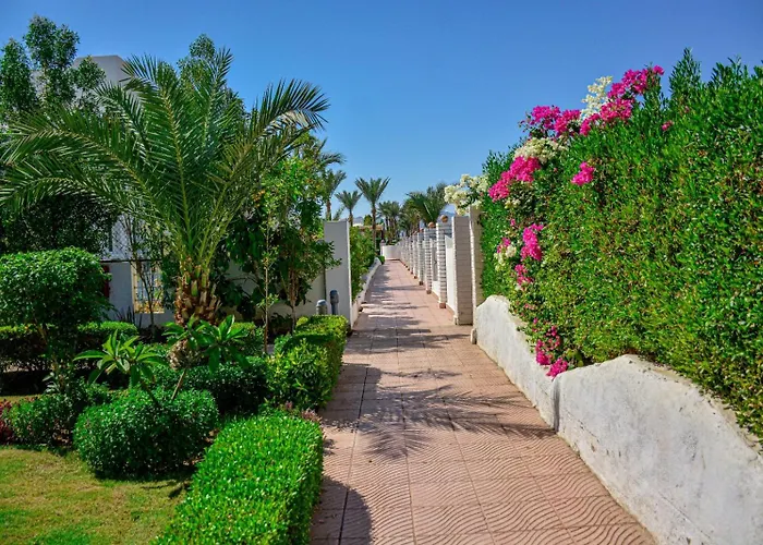 Desert View Sharm Hotel