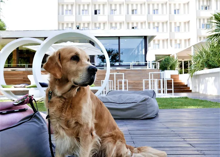 Oxygen Lifestyle Hotel Viserbella di Rimini
