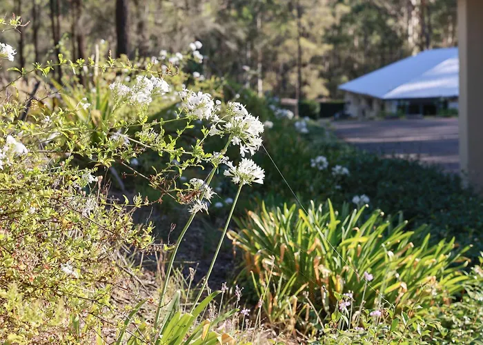 Nu Leaf Retreat Hotel Pokolbin