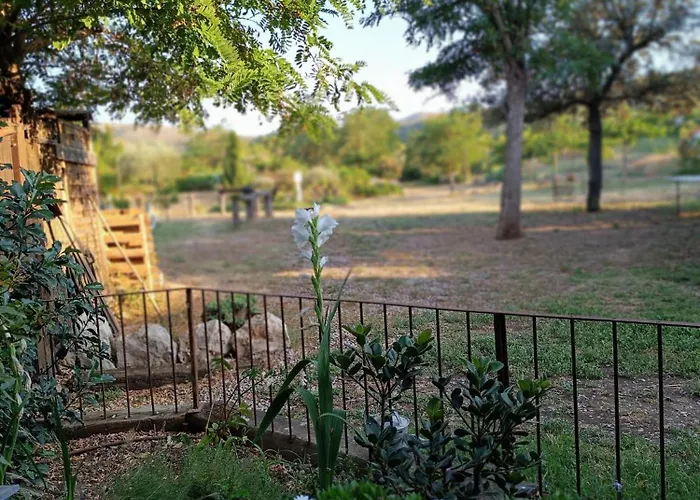 Mas Del Llop Blanc - Dog Friendly Hostal Rural - B&B Sobrestany