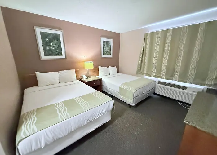 Bison Inn & Suites On University
