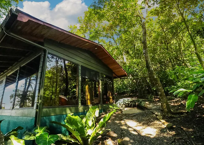 Hotel Flor De Bromelia